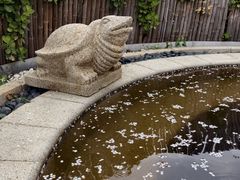 -大连金石滩绿发温泉假日酒店