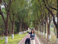 -上海浦江郊野公园-5号停车场