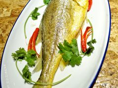 大黄鱼-陈鹏鹏潮汕菜(欢乐海岸 海边景观店)