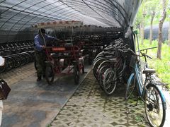 -上海海湾国家森林公园