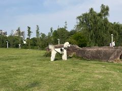 -新江湾城公园