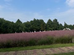 -同里国家湿地公园
