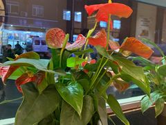 -小土豆北方菜馆(文慧园店)