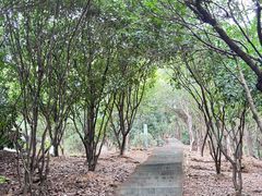 -杭州半山国家森林公园