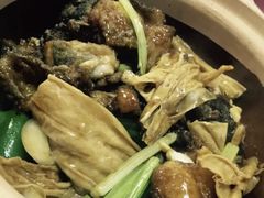 炆钳鱼煲-裕华(南华东路店)