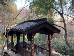 -杭州半山国家森林公园