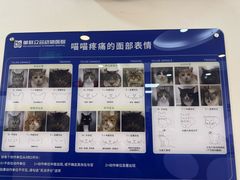 -美联众合动物医院·24h转诊中心