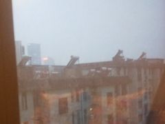 -栖巢咖啡馆(双岗店)