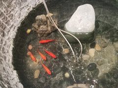 -福茂源横山铁锅羊肉(牡丹园店)