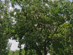 -兴隆文化园景区-兖州博物馆