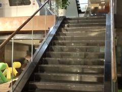 -证大喜玛拉雅中心
