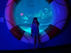 -烟台海昌鲸鲨海洋公园