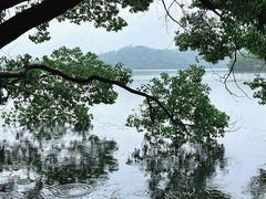 -东湖落雁景区