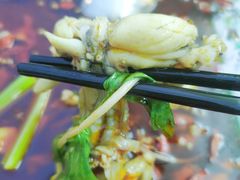 -老表牌·蛙蛙鸡冷锅鱼(成都东站店)