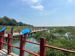 -北海金海湾红树林生态旅游区