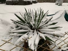 -金宫殿故址