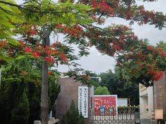 -厦门高崎国际机场-T3航站楼