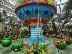 -南宫五洲植物乐园