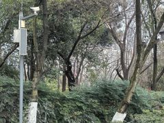 -塔子山公园