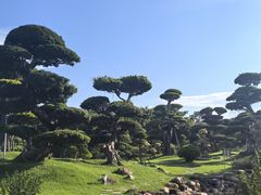 -南宁南湖公园