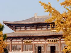 -隆福寺