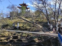 -青城公园
