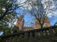 -上海佘山国家森林公园西佘山园