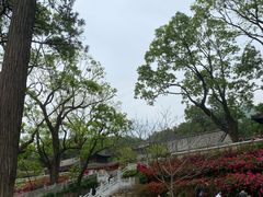 -红螺寺