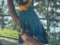 -西霞口神雕山野生动物世界