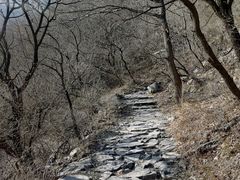 -阳台山自然风景区