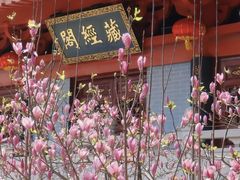 -飞霞风景名胜区