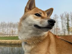 -坝河休闲公园