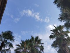 -重庆海昌加勒比海水世界