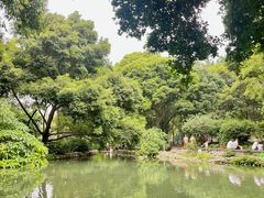 -成都市活水公园