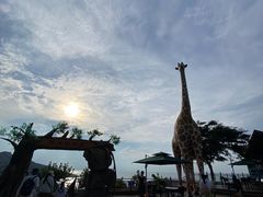 -西霞口神雕山野生动物世界