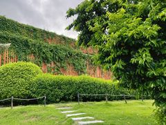 -芒洲湿地公园