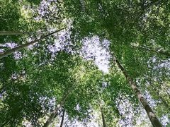 -陶祖圣境风景区