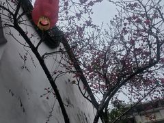 -乌山风景区