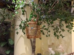 -十二饭点·川菜(北站圆融店)