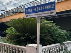 -南昌海洋公园