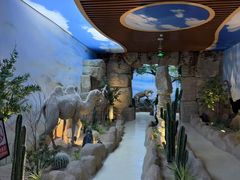 -西霞口神雕山野生动物世界