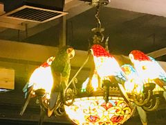 大堂-山有花啡餐厅(常营总店)