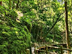 -牛背梁国家森林公园
