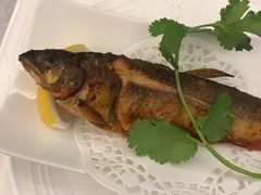 -福建鲤鱼洲酒店