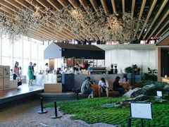 -Seesaw Coffee(朝阳大悦城店)