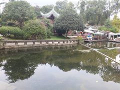 -桂湖森林公园