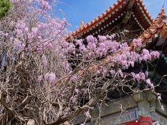 -北京国子监胡同