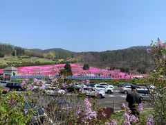 -棒棰岛宾馆景区