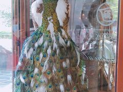 -碧涛阁·泡泡海洋·汤泉洗浴(王府花园店)