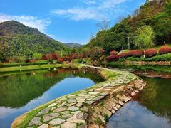 -桃花岭景区